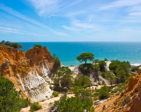 Oceanica Αλμπουφέιρα