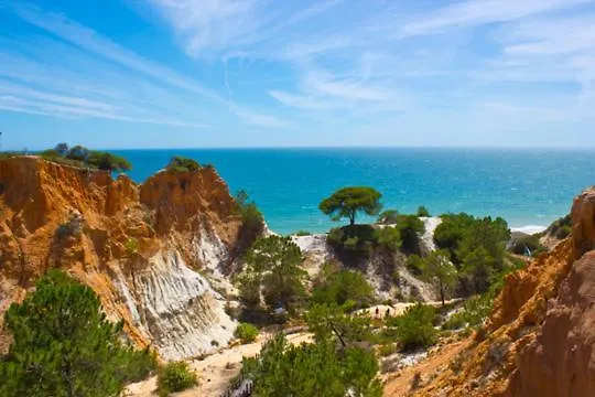 Oceanica البوفيرا