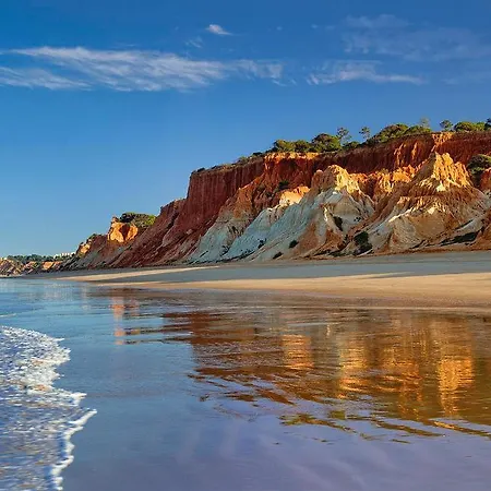 Oceanica 阿尔布费拉